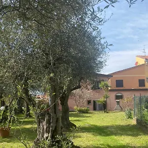 La Casa Dei Nonni Pietrasanta
