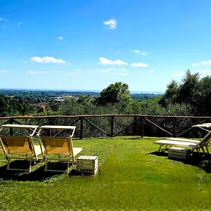 Olivemare Pietrasanta